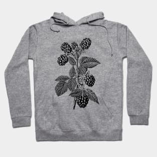 Blackberry Plant Hoodie